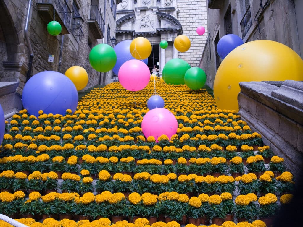 Flores
