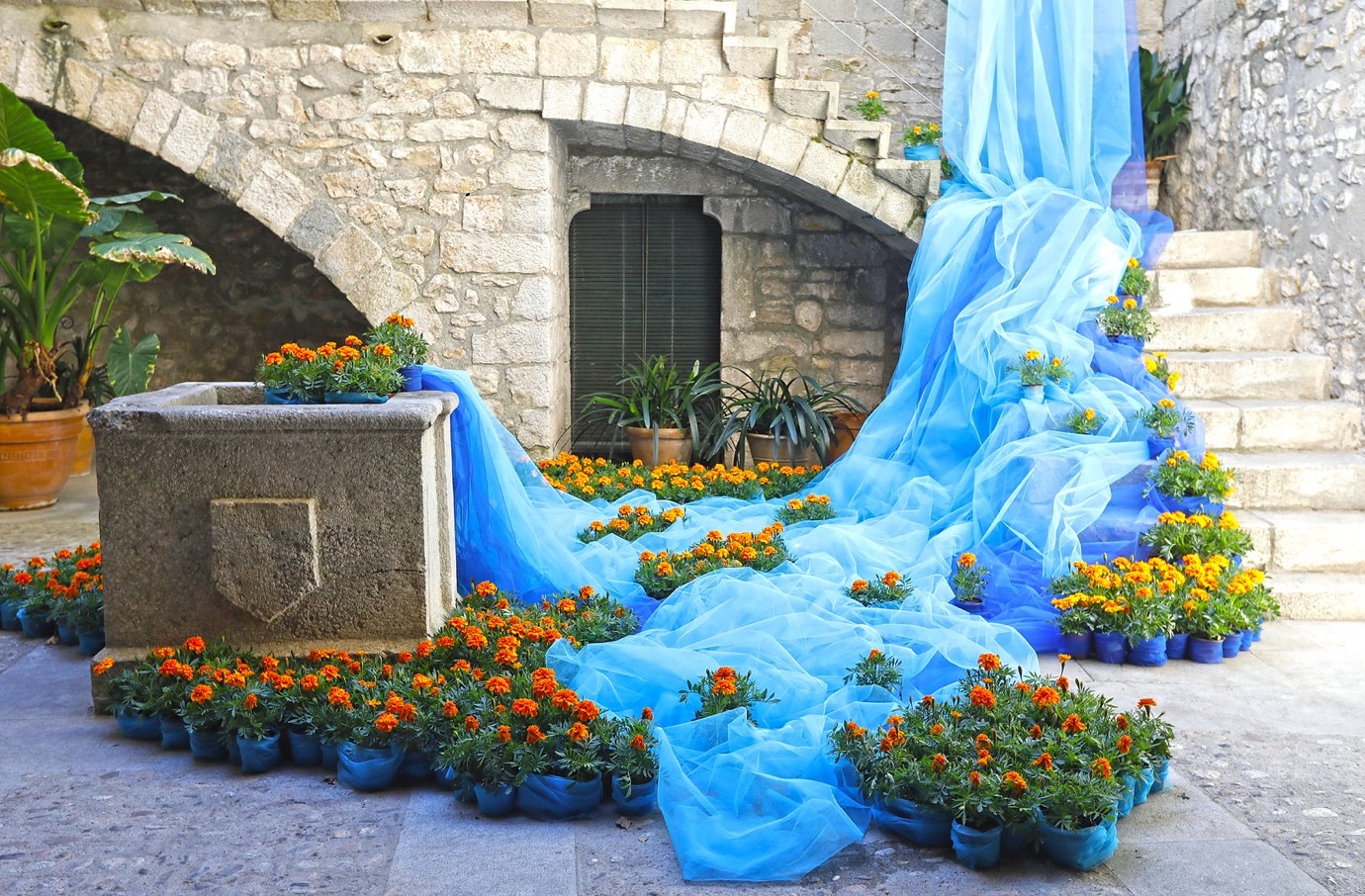 Flores lona azul
