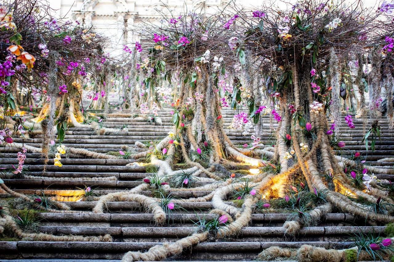 arboles florales